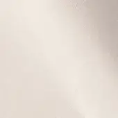 500202 - MILK